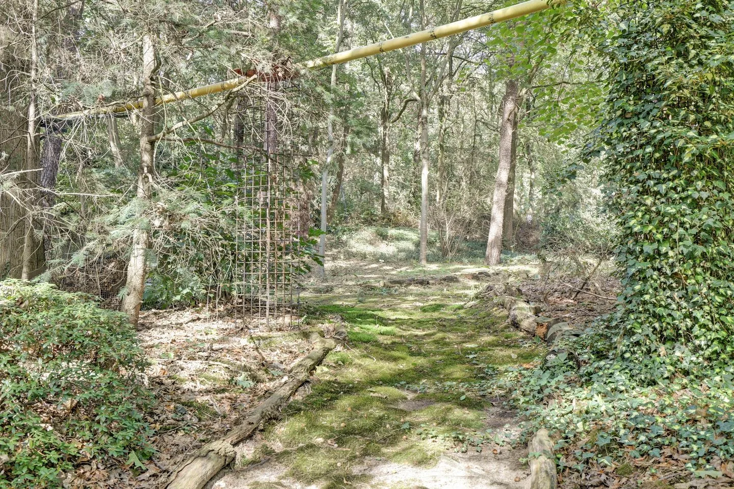 Bosserheide 43 a Well L thumbnail 134