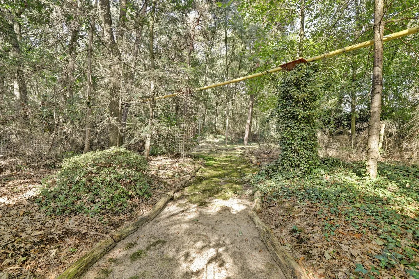 Bosserheide 43 a Well L thumbnail 135