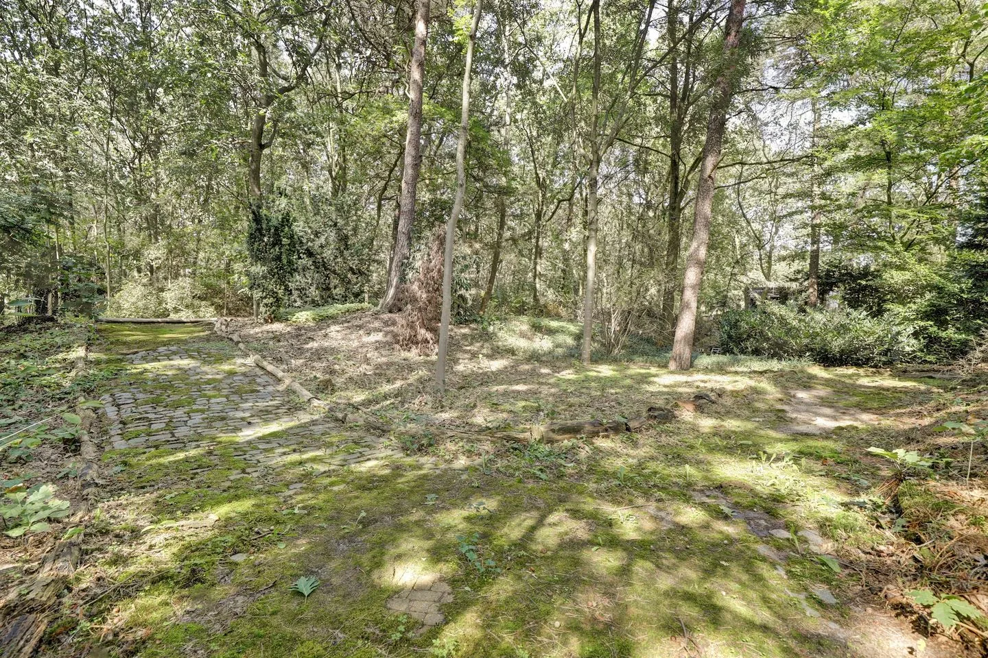 Bosserheide 43 a Well L thumbnail 136