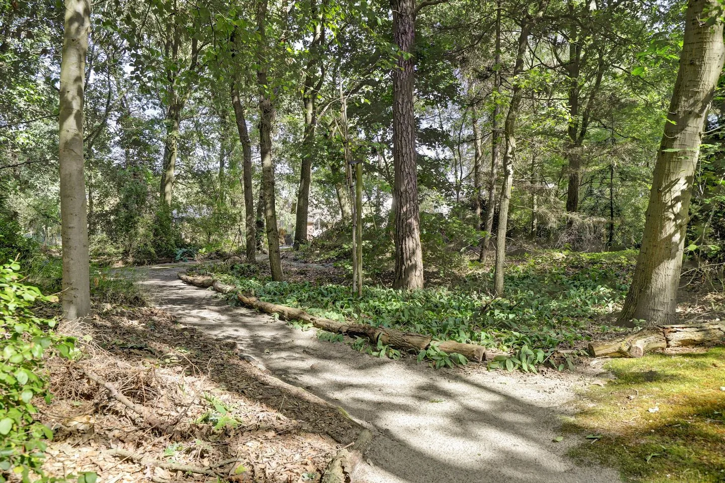 Bosserheide 43 a Well L thumbnail 137