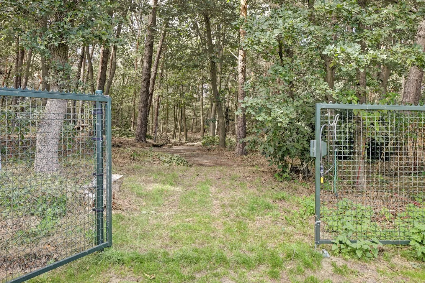 Bosserheide 43 a Well L thumbnail 141