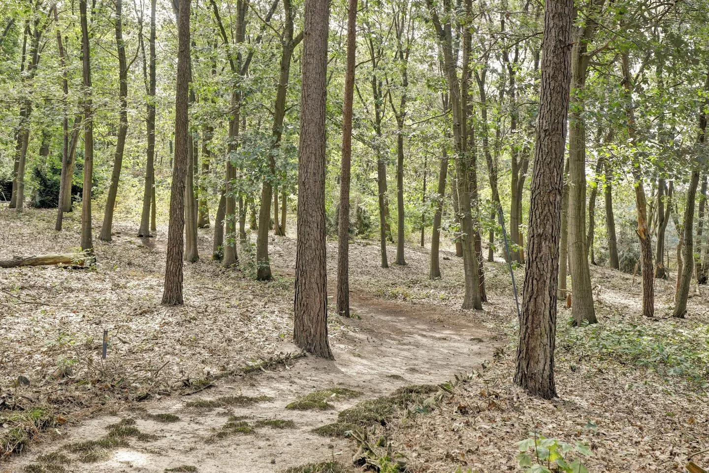 Bosserheide 43 a Well L thumbnail 142
