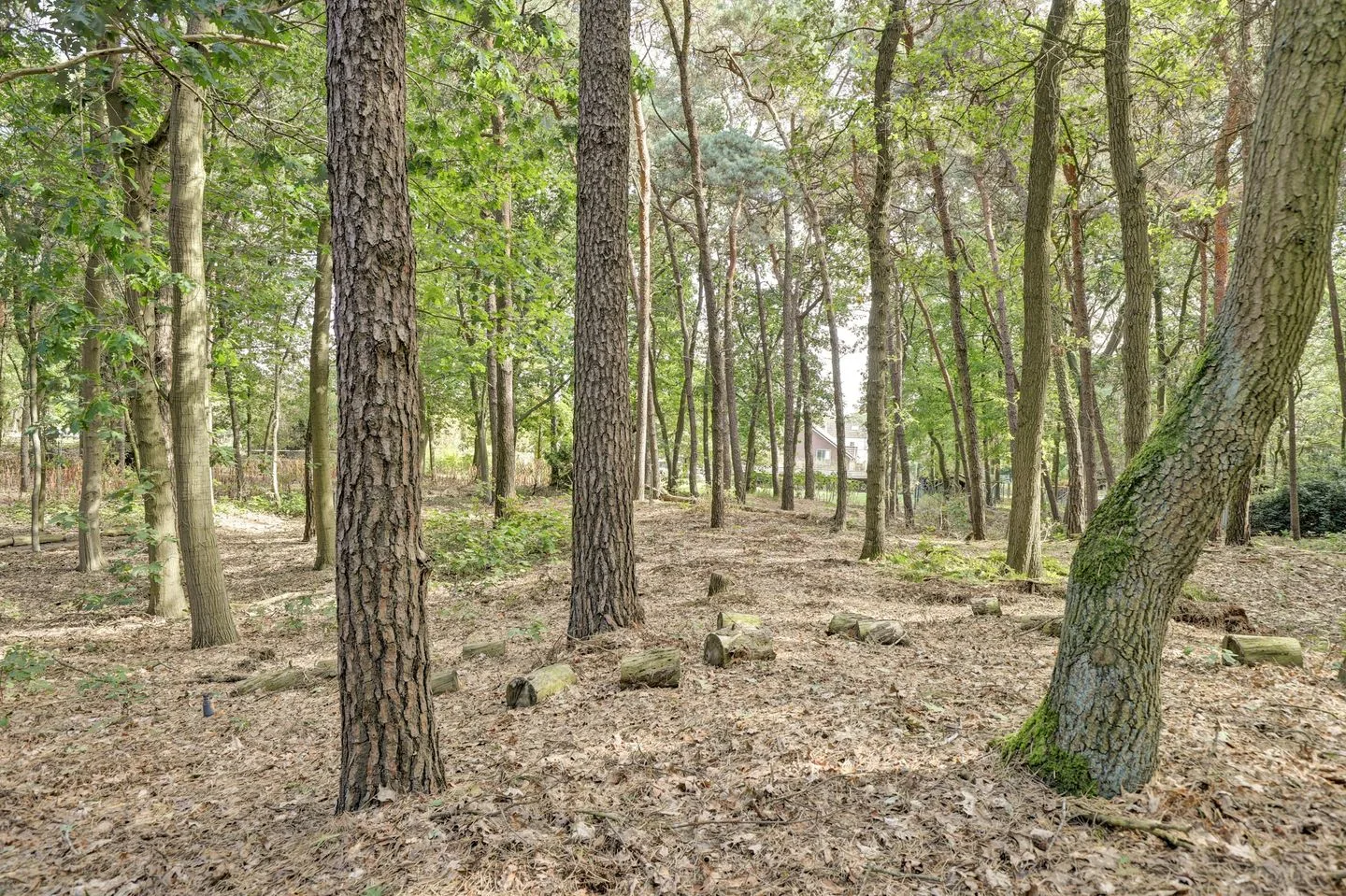 Bosserheide 43 a Well L thumbnail 143