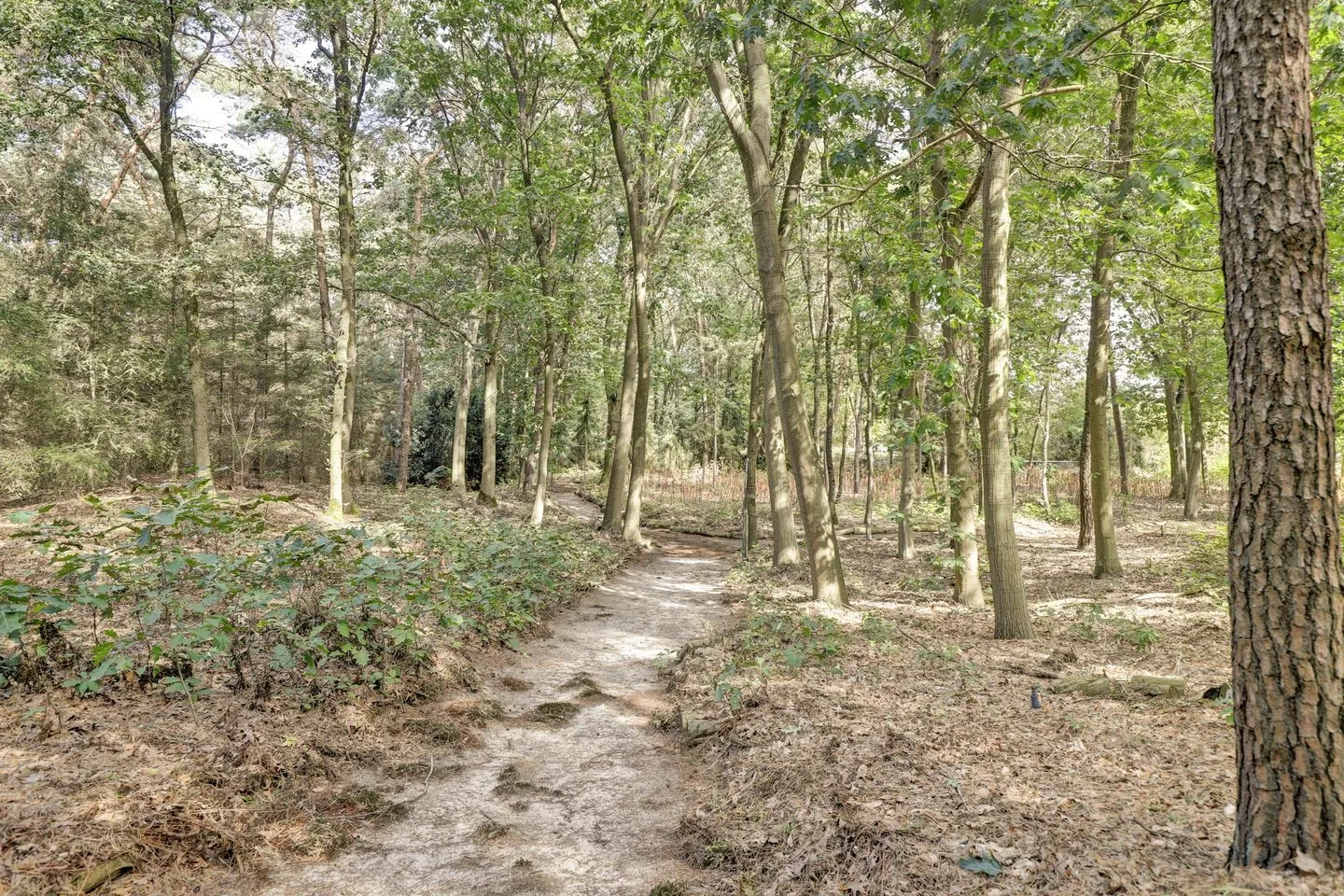 Bosserheide 43 a Well L thumbnail 144