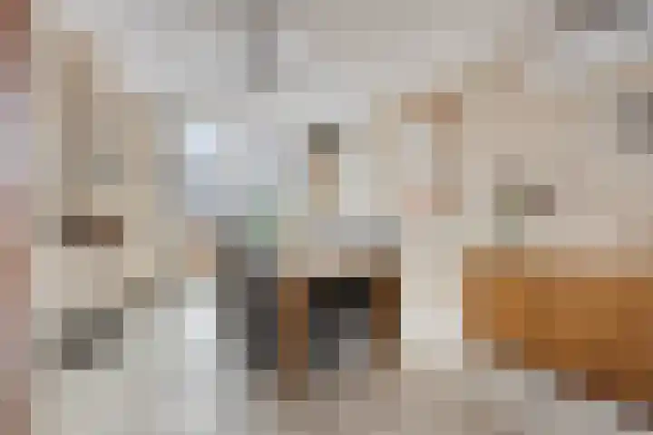 Bosserhoflaan 7 Maasbracht thumbnail 13