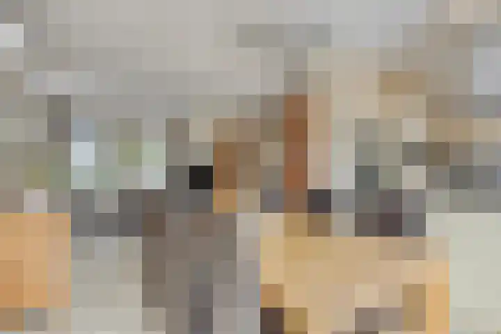 Bosserhoflaan 7 Maasbracht thumbnail 15