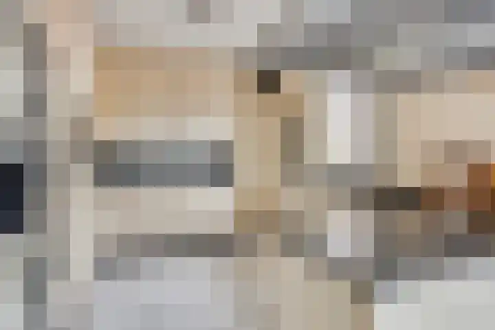 Bosserhoflaan 7 Maasbracht thumbnail 17