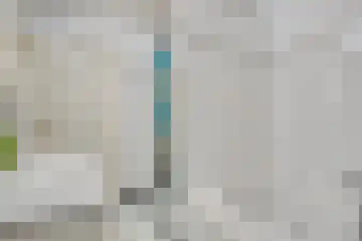 Bosserhoflaan 7 Maasbracht thumbnail 23
