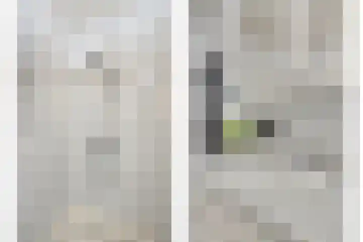 Bosserhoflaan 7 Maasbracht thumbnail 24