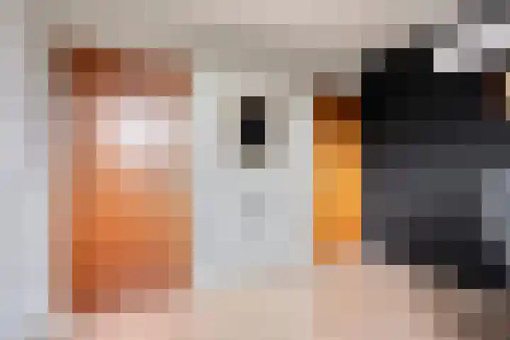 Bosserhoflaan 7 Maasbracht thumbnail 35