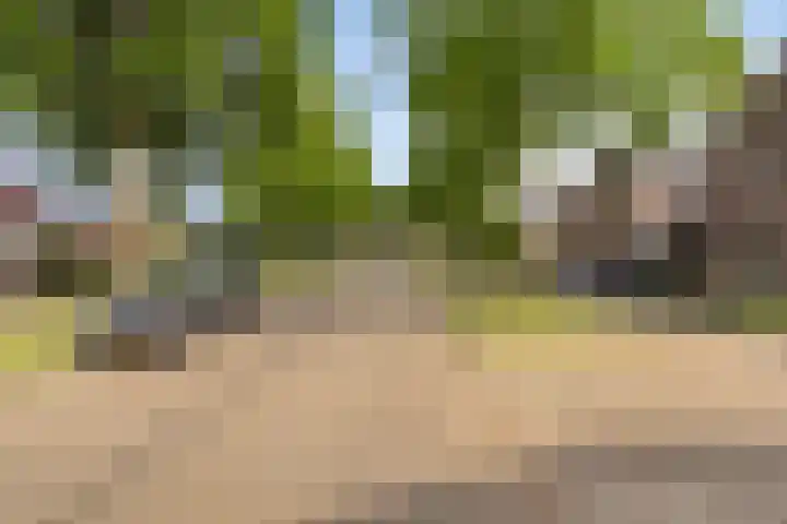 Bosserhoflaan 7 Maasbracht thumbnail 4