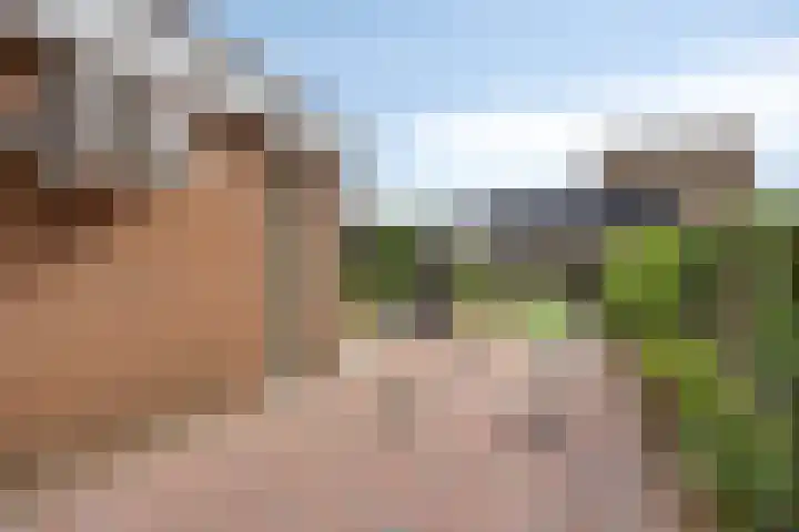 Bosserhoflaan 7 Maasbracht thumbnail 43