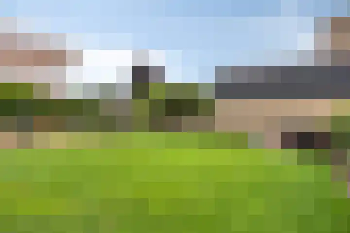 Bosserhoflaan 7 Maasbracht thumbnail 44