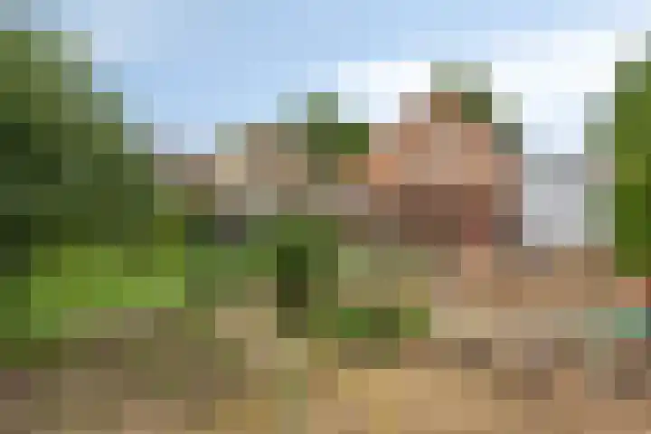 Bosserhoflaan 7 Maasbracht thumbnail 46