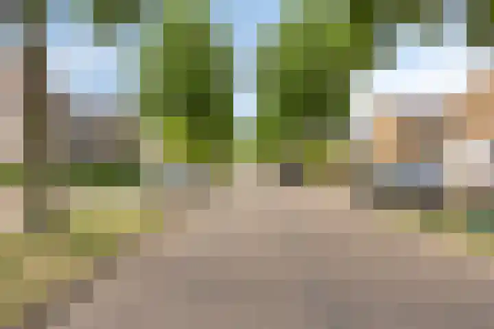 Bosserhoflaan 7 Maasbracht thumbnail 5