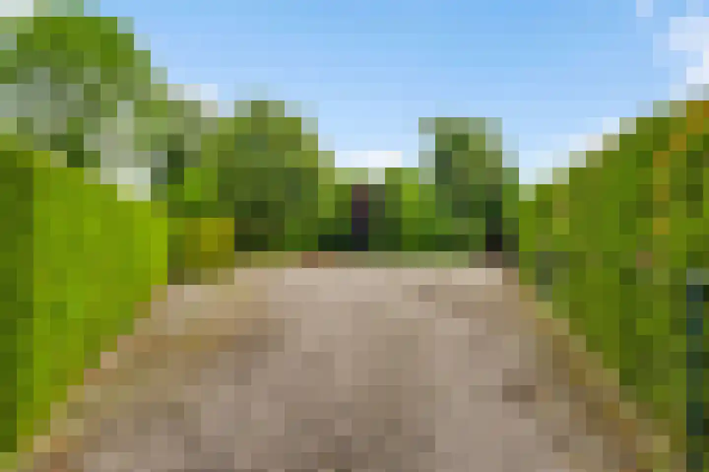 Bosserstraat 10 Nederweert thumbnail 49