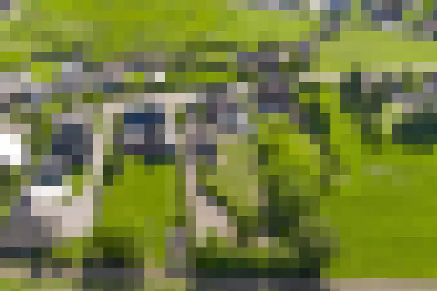 Bosserstraat 10 Nederweert thumbnail 5