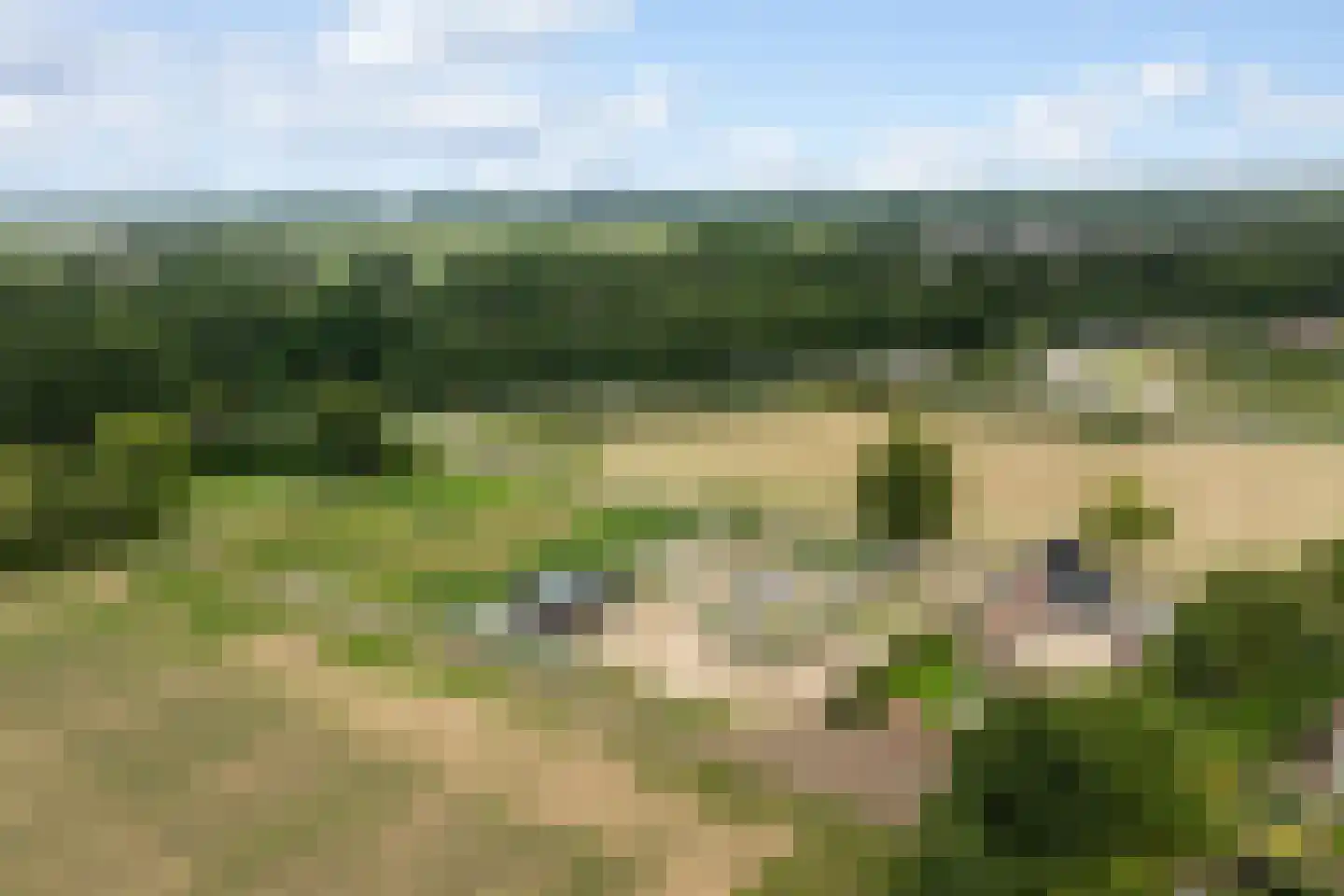 Bosserstraat 2 A Nederweert thumbnail 7