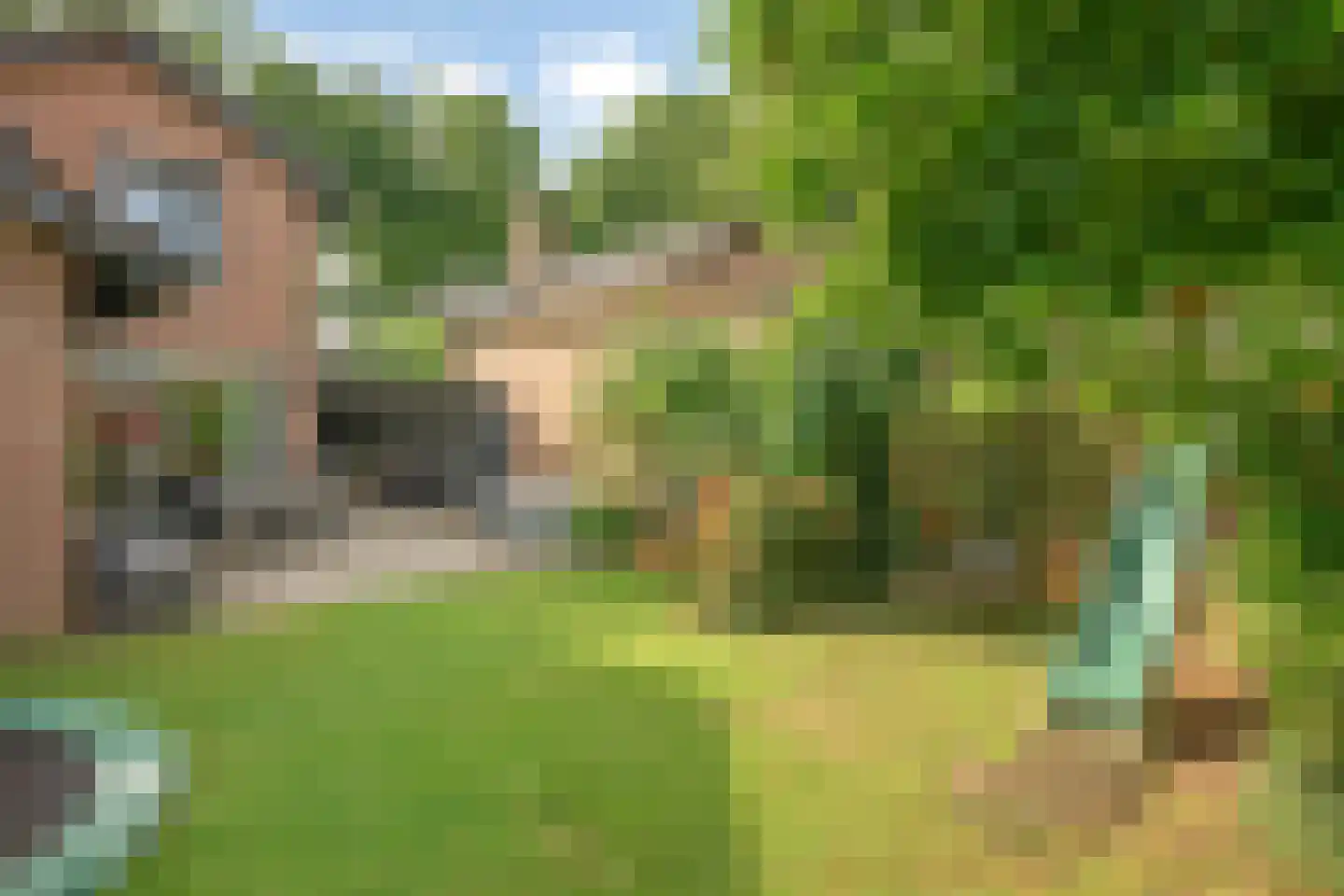 Bosserveldlaan 40 Beek thumbnail 25