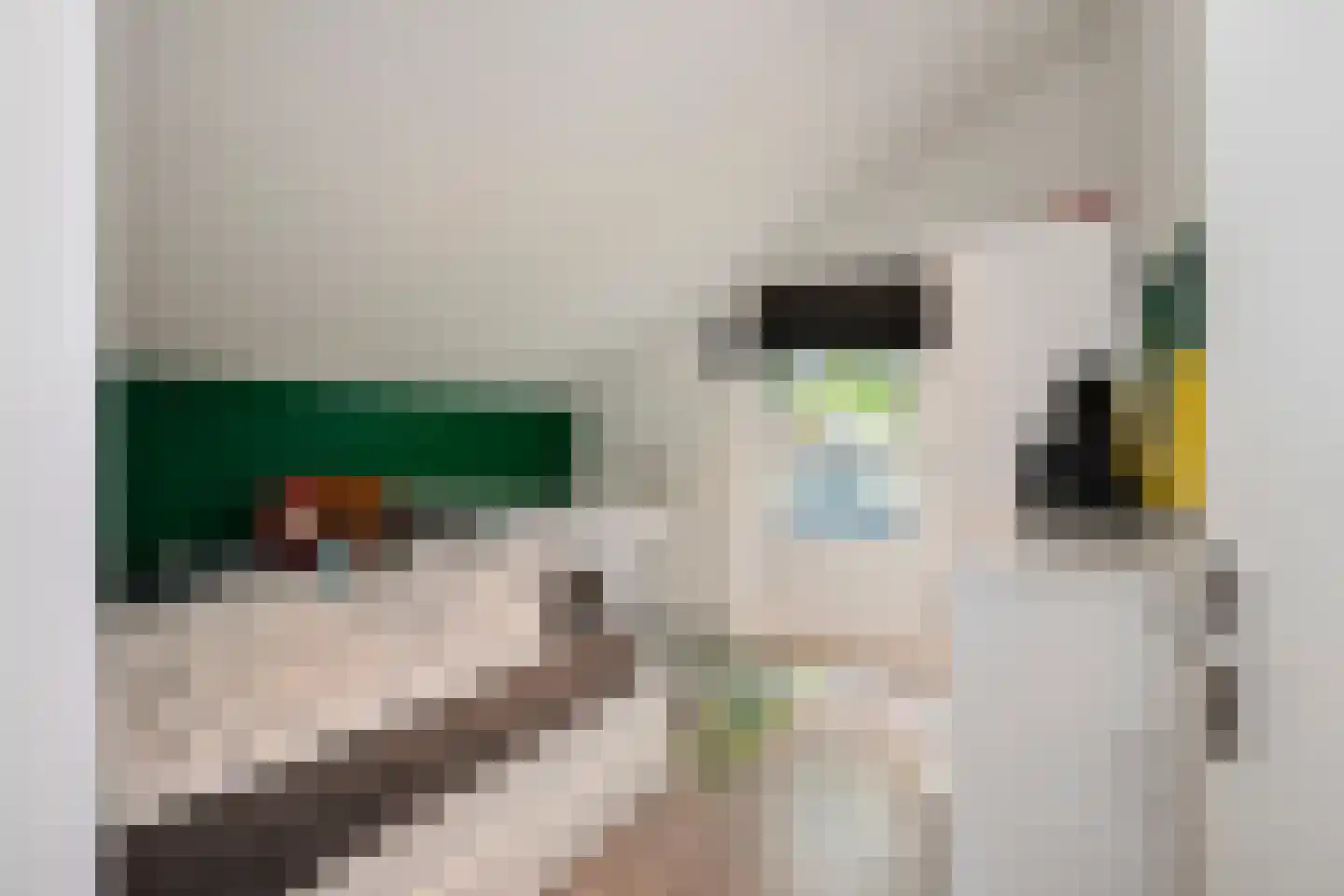 Bosserveldlaan 40 Beek thumbnail 28