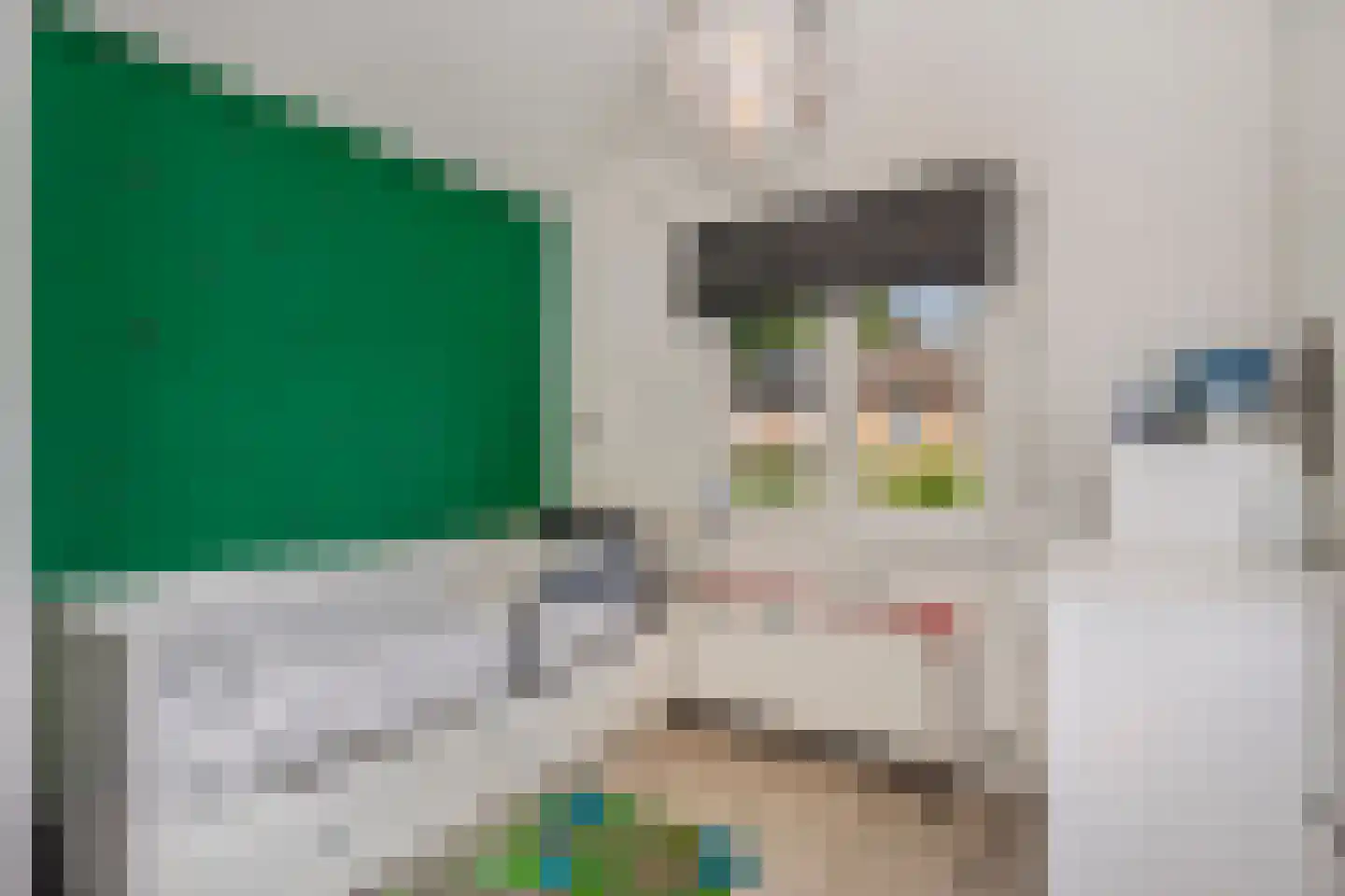 Bosserveldlaan 40 Beek thumbnail 34