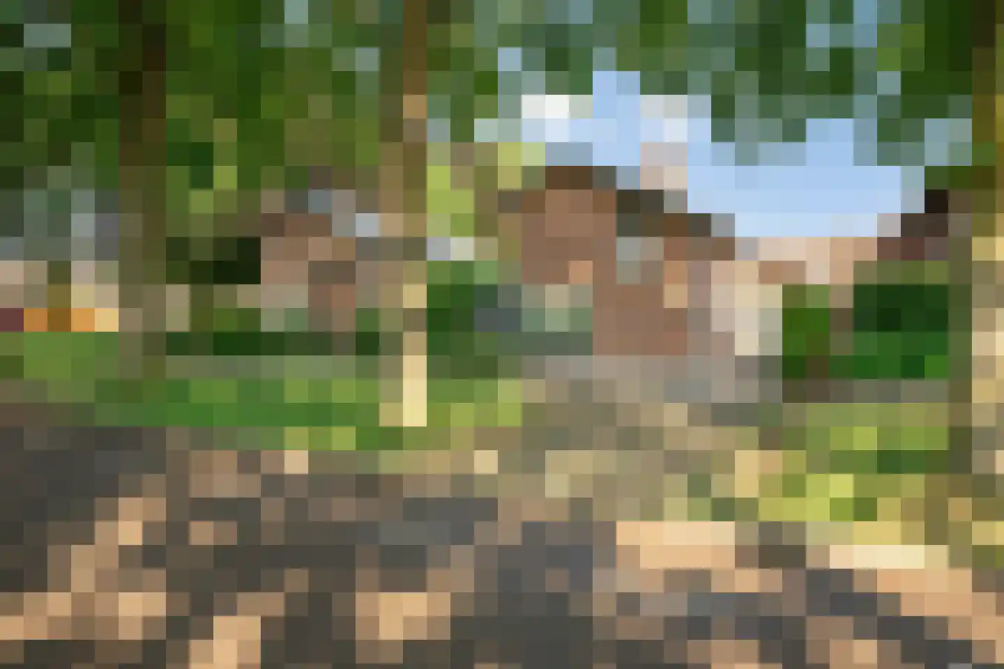 Bosserveldlaan 40 Beek thumbnail 5