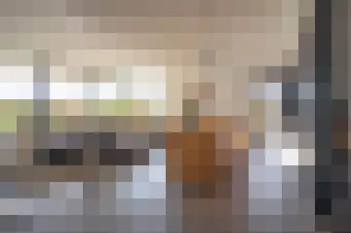 Bosserveldlaan 73 Beek thumbnail 16