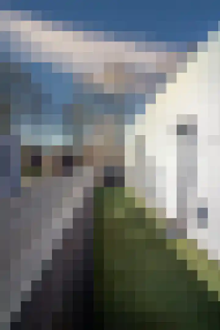 Bosserveldlaan 73 Beek thumbnail 45