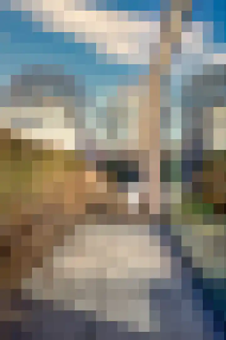 Bosserveldlaan 73 Beek thumbnail 63