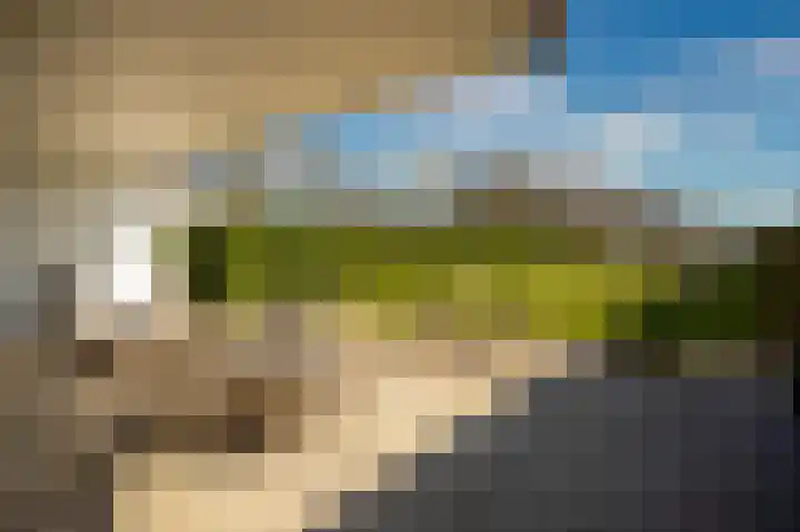 Bosserveldlaan 73 Beek thumbnail 64