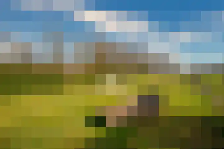 Bosserveldlaan 73 Beek thumbnail 68