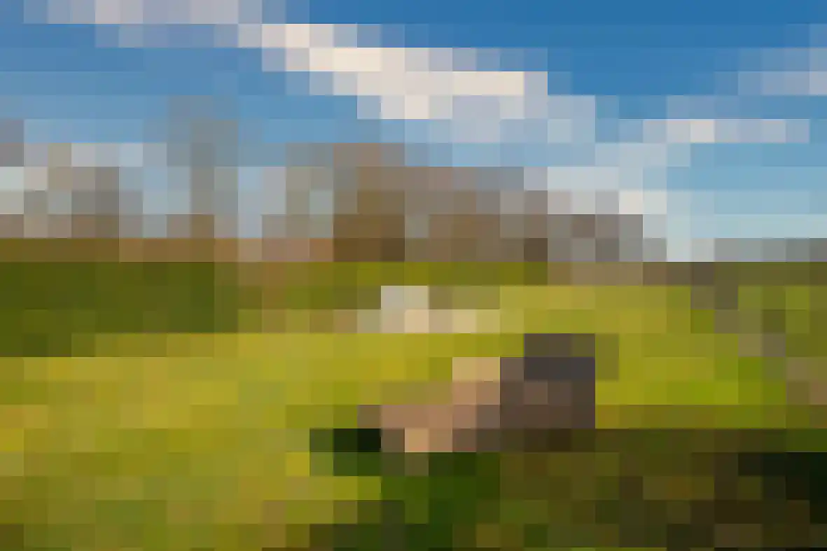 Bosserveldlaan 73 Beek thumbnail 68