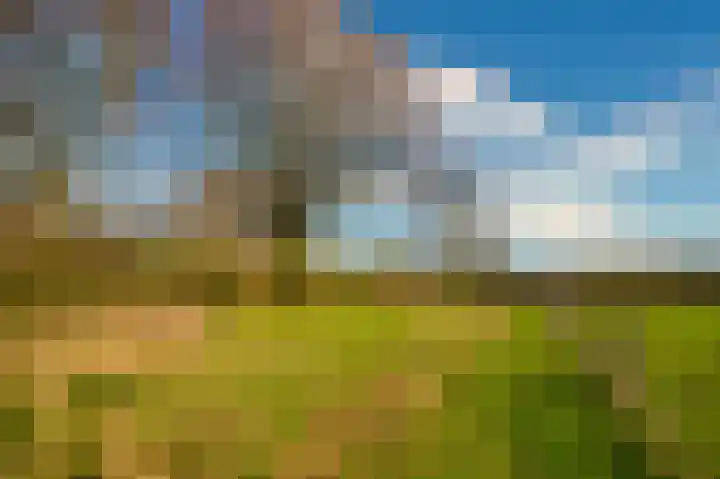 Bosserveldlaan 73 Beek thumbnail 72