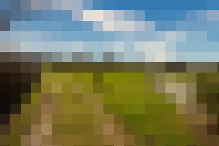 Bosserveldlaan 73 Beek thumbnail 74