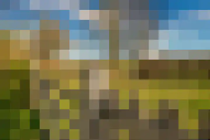 Bosserveldlaan 73 Beek thumbnail 75