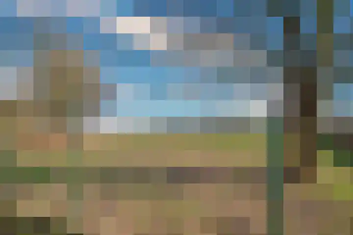 Bosserveldlaan 73 Beek thumbnail 76