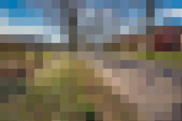 Bosserveldlaan 73 Beek thumbnail 77