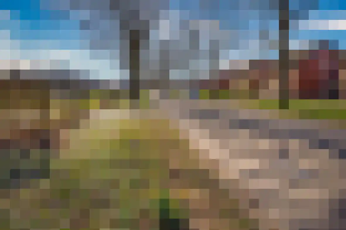 Bosserveldlaan 73 Beek thumbnail 77