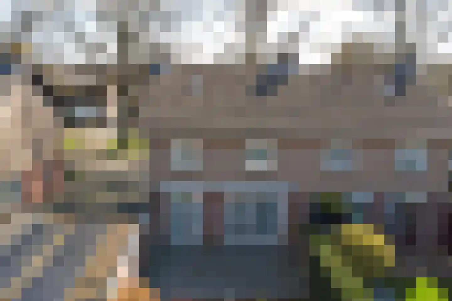 Bosserveldweg 30 Sint Odiliënberg thumbnail 33
