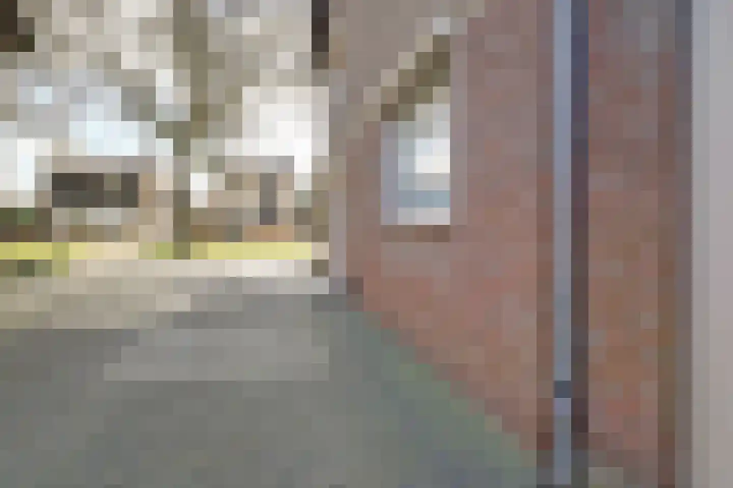 Bosserveldweg 30 Sint Odiliënberg thumbnail 38