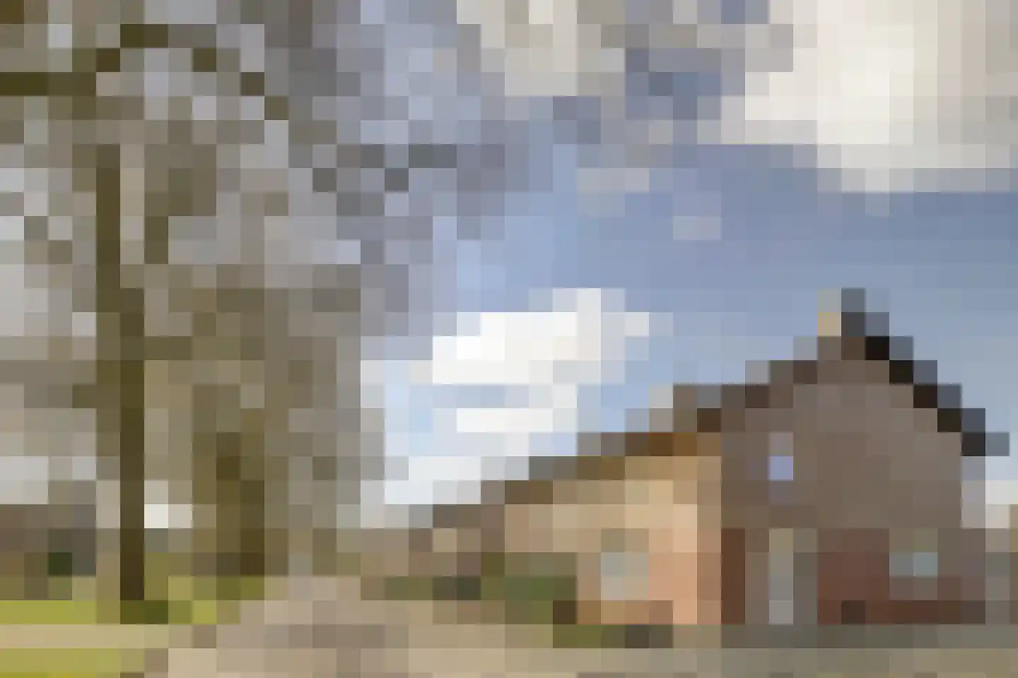 Bosserveldweg 30 Sint Odiliënberg thumbnail 40