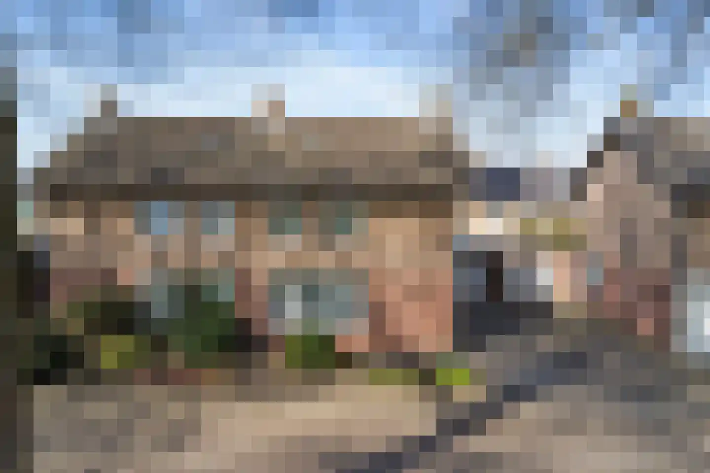 Bosserveldweg 30 Sint Odiliënberg thumbnail 42