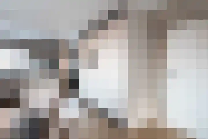 Bossestraat 100 Vogelwaarde thumbnail 11