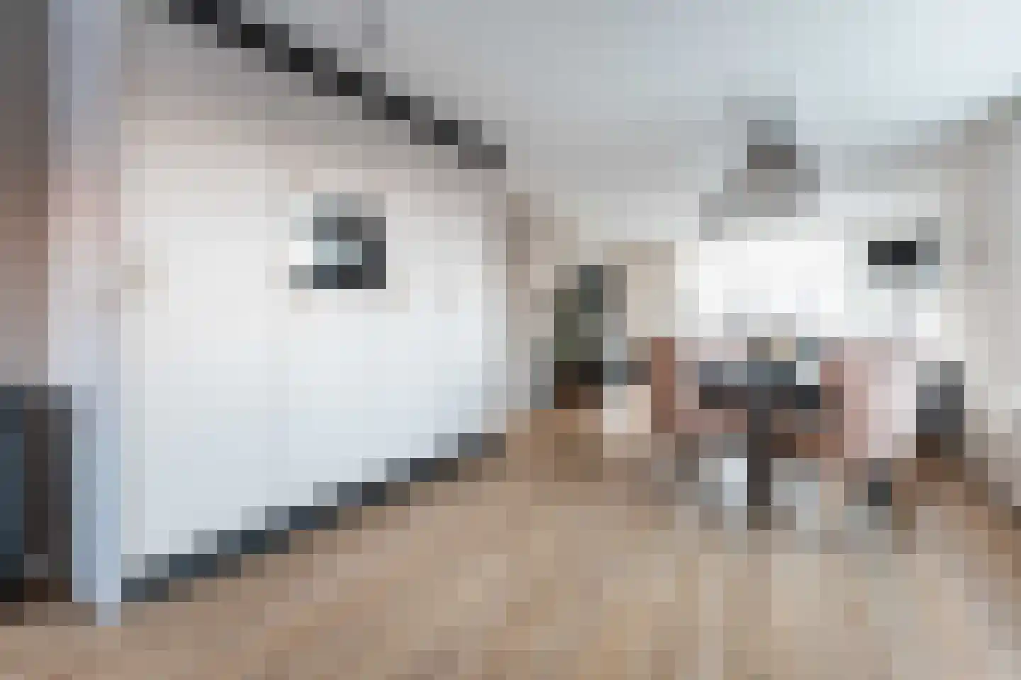 Bossestraat 100 Vogelwaarde thumbnail 14