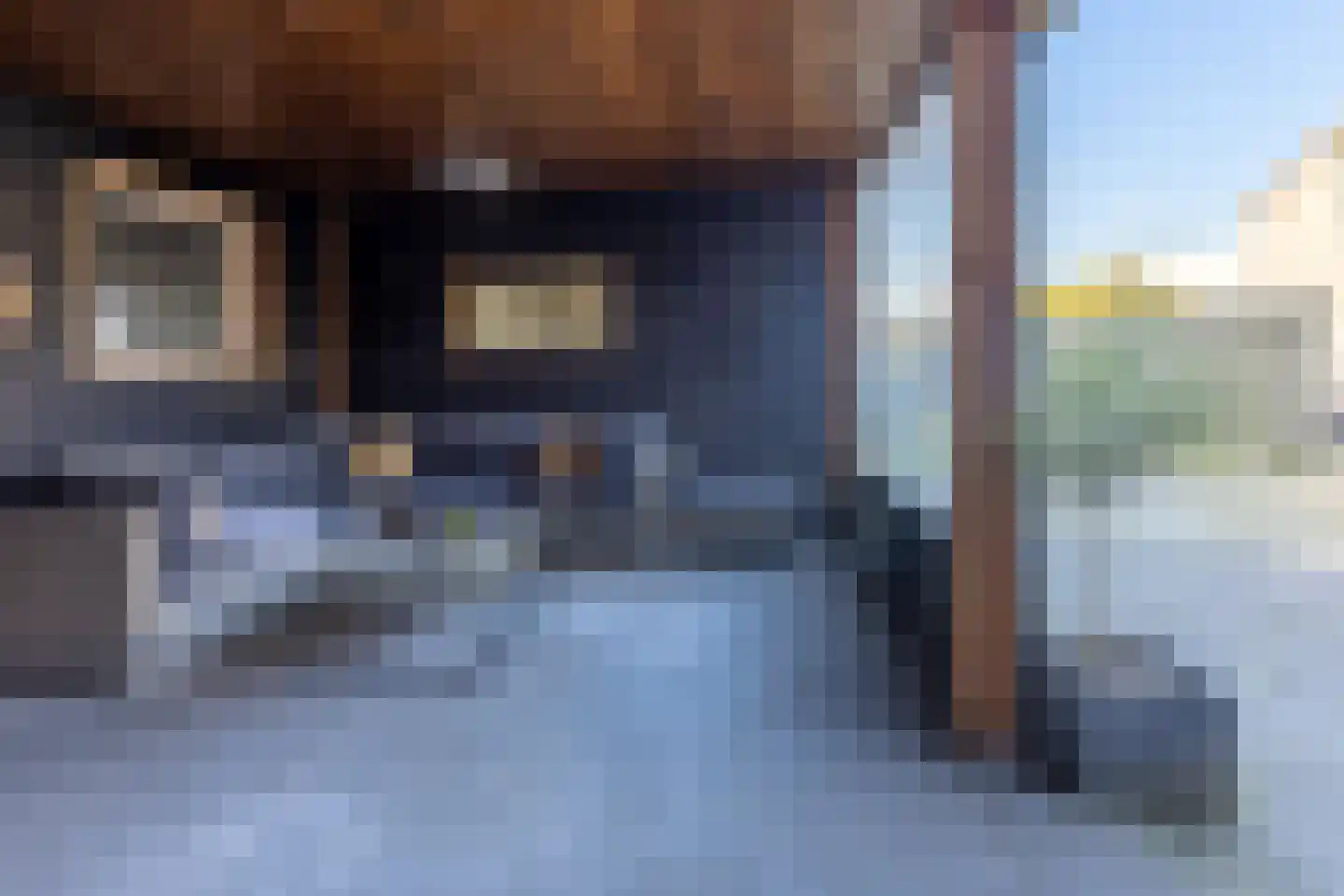 Bossestraat 100 Vogelwaarde thumbnail 35