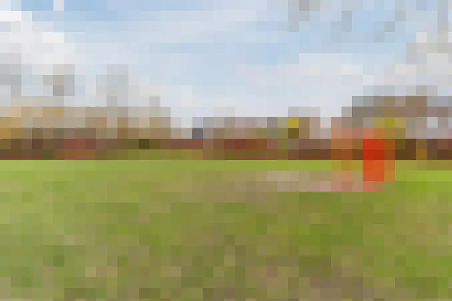 Bossestraat 100 Vogelwaarde thumbnail 42