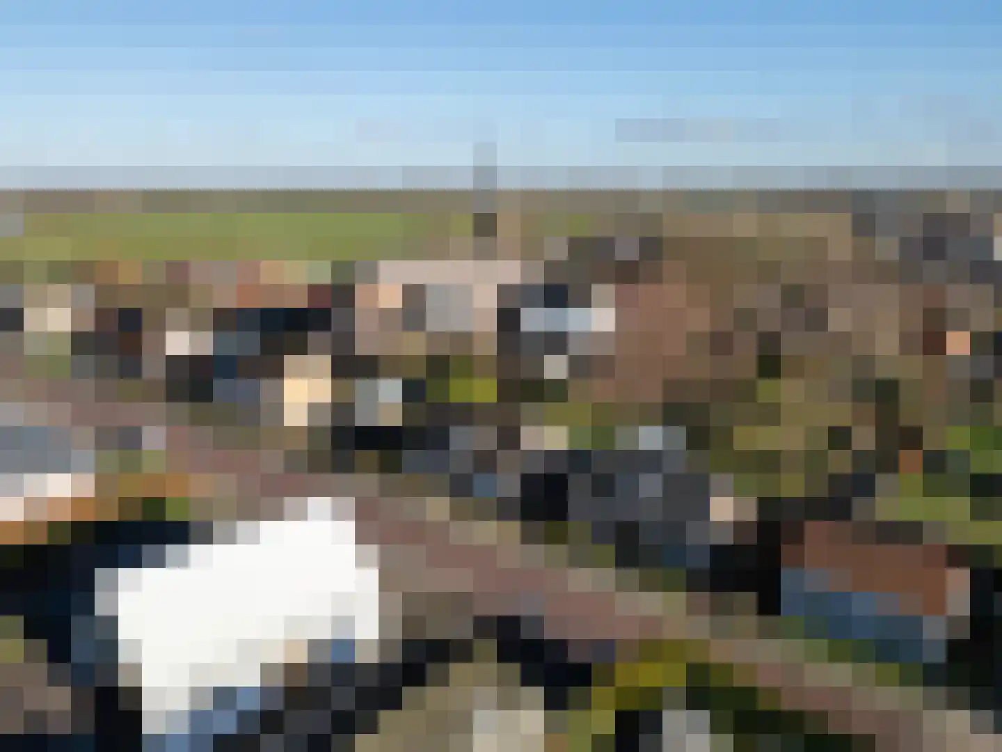 Bossestraat 100 Vogelwaarde thumbnail 45