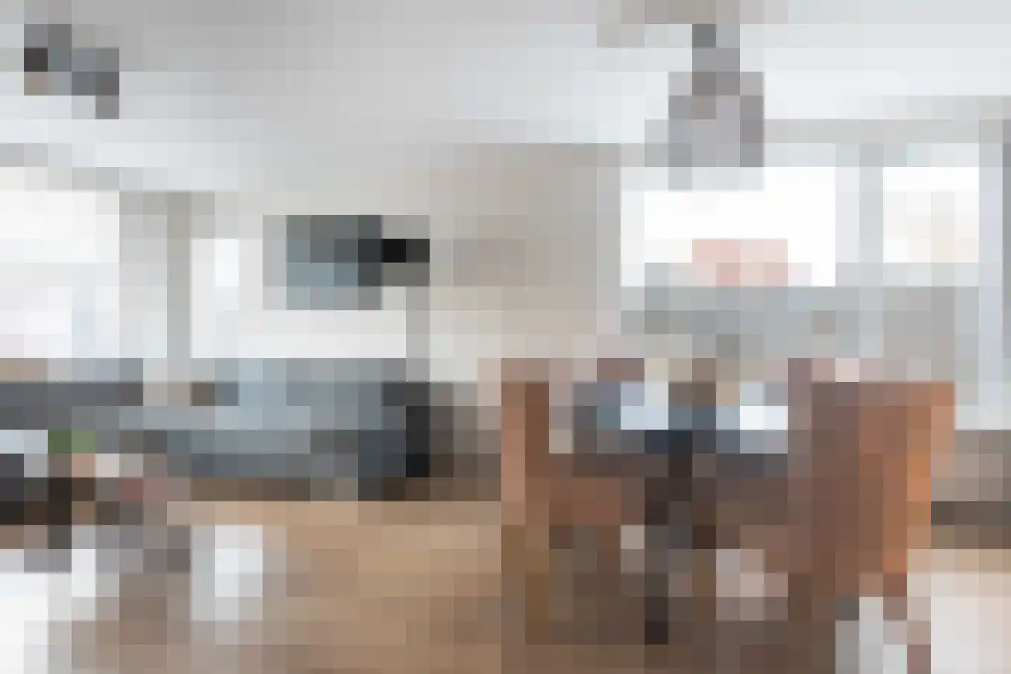Bossestraat 100 Vogelwaarde thumbnail 7
