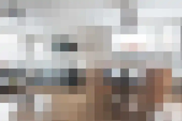 Bossestraat 100 Vogelwaarde thumbnail 7