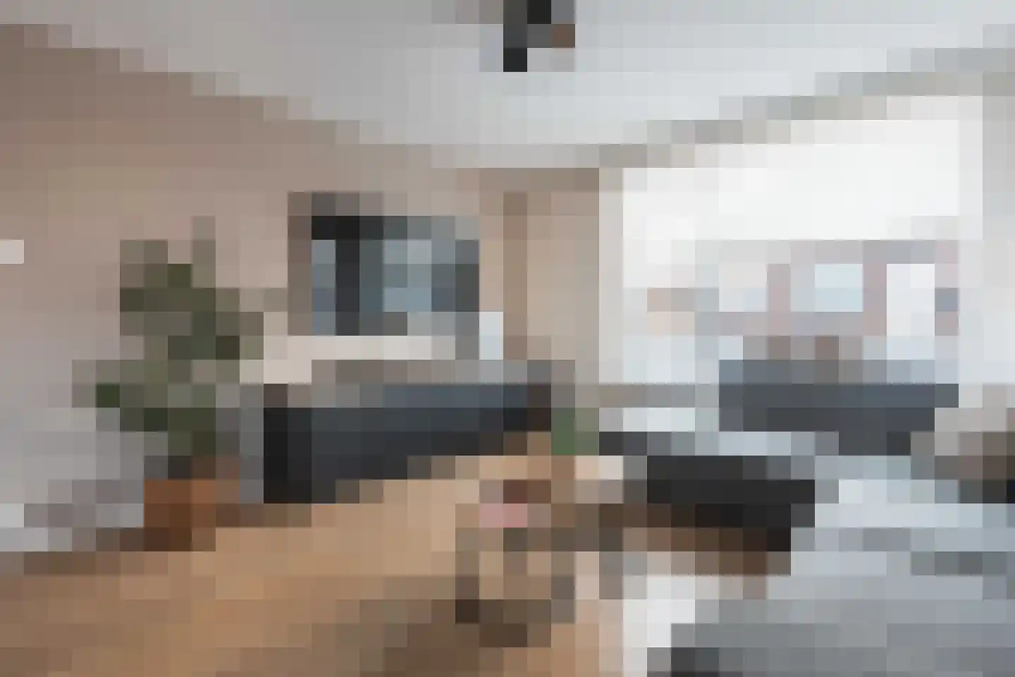 Bossestraat 100 Vogelwaarde thumbnail 8